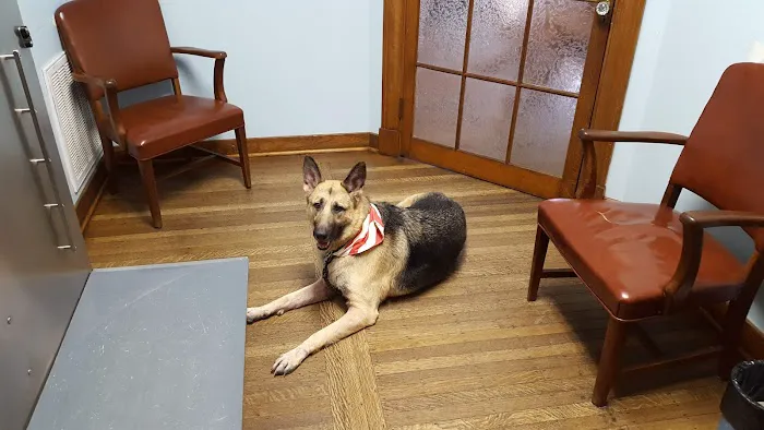 The Animal Clinic Picture 5