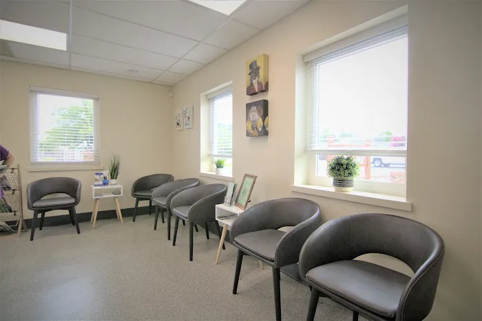 Lincoln Pet Clinic Picture 5