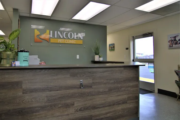 Lincoln Pet Clinic Picture 10