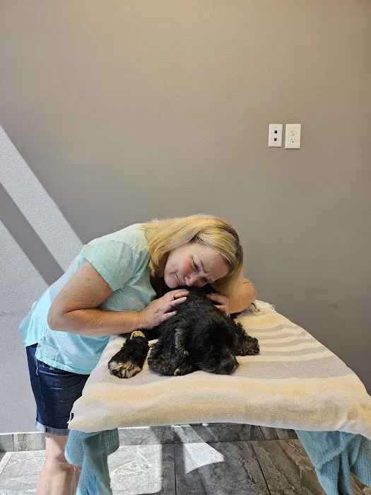 Critter Creek Veterinary Hospital Picture 7