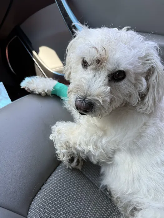 Lincoln Hills Veterinary Hospital Picture 6
