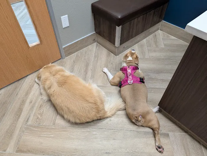 Lincoln Hills Veterinary Hospital Picture 7