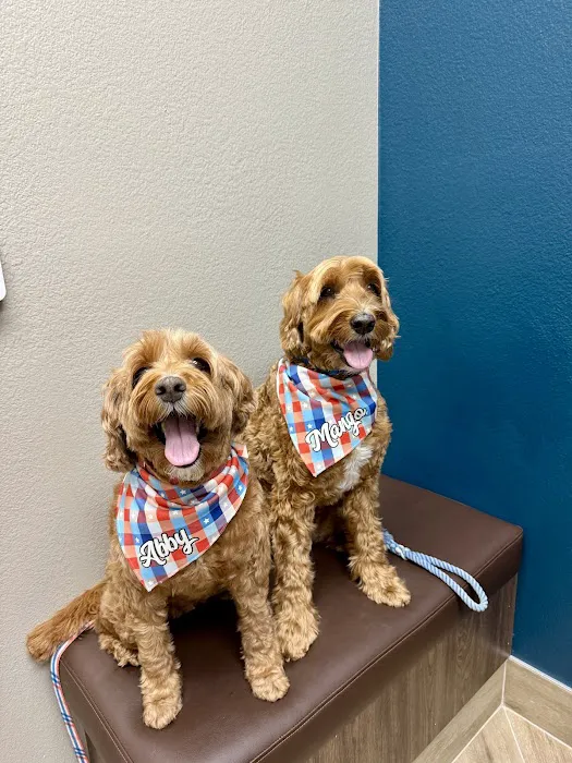 Lincoln Hills Veterinary Hospital Picture 8