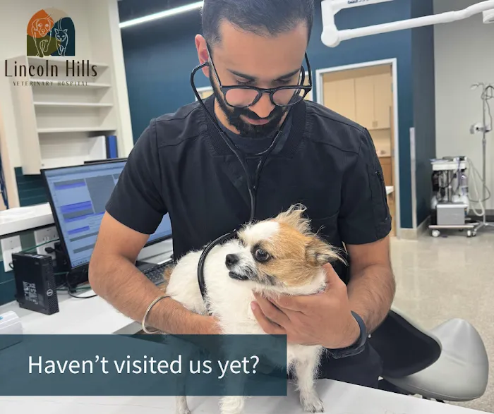 Lincoln Hills Veterinary Hospital Picture 9
