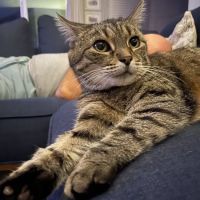 Sterling Pointe Veterinary Clinic ico