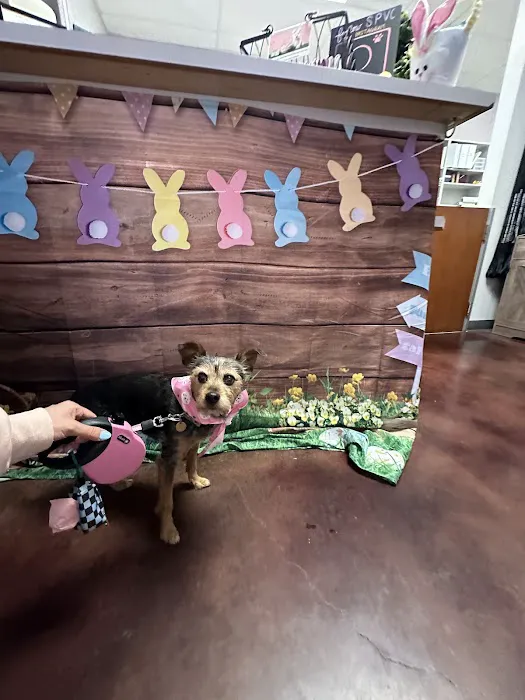Sterling Pointe Veterinary Clinic Picture 5