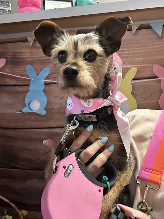 Sterling Pointe Veterinary Clinic Picture 6