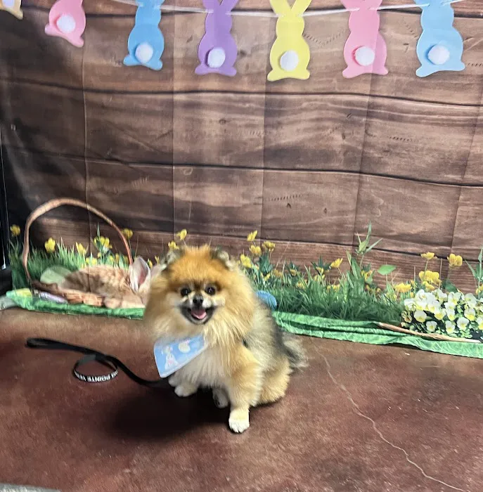 Sterling Pointe Veterinary Clinic Picture 4