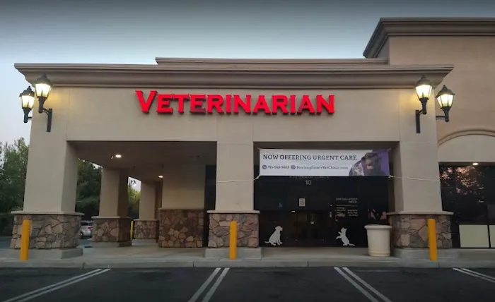 Sterling Pointe Veterinary Clinic Picture 9