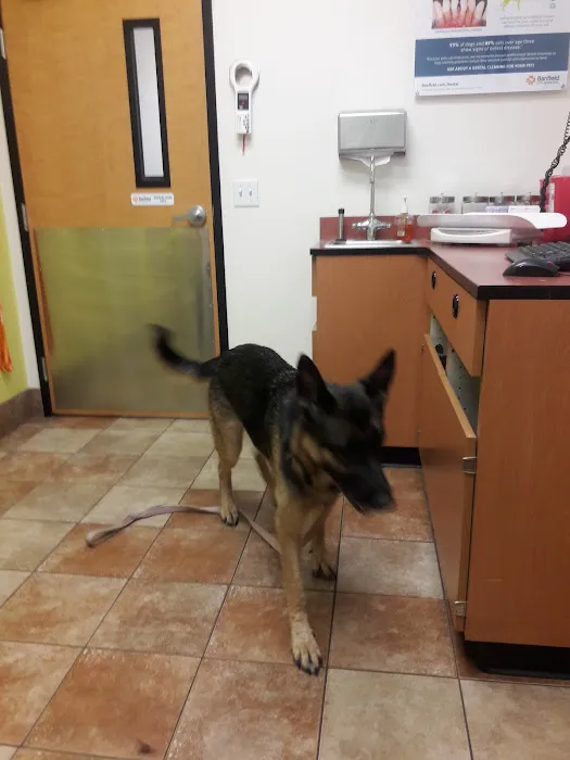 Banfield Pet Hospital Picture 1