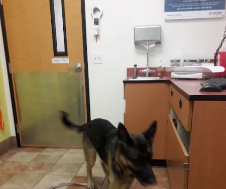Banfield Pet Hospital