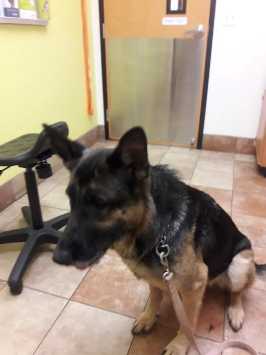 Banfield Pet Hospital Picture 9