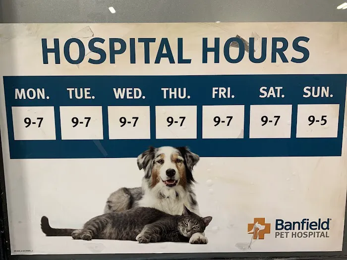 Banfield Pet Hospital Picture 6