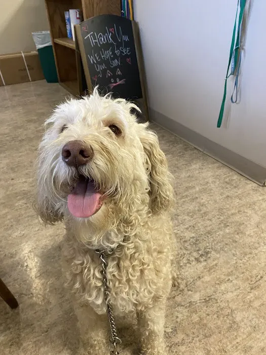 Gold Country Veterinary Hospital Picture 8
