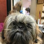 North Fork Vet Clinic