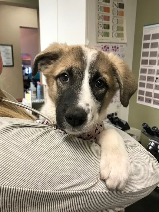 North Fork Vet Clinic Picture 4