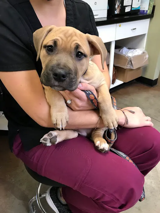 North Fork Vet Clinic Picture 3
