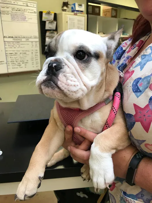 North Fork Vet Clinic Picture 9