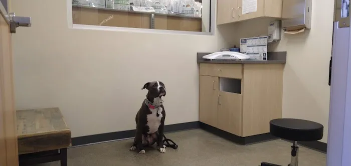 Vetco Total Care Animal Hospital Picture 8