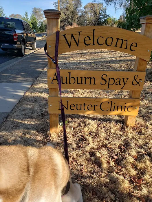 Animal Spay & Neuter Picture 6
