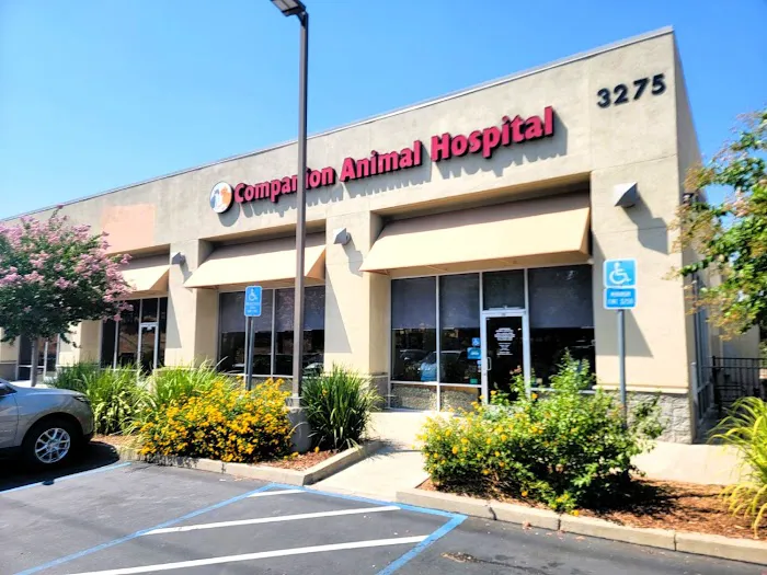 Companion Animal Hospital Picture 9