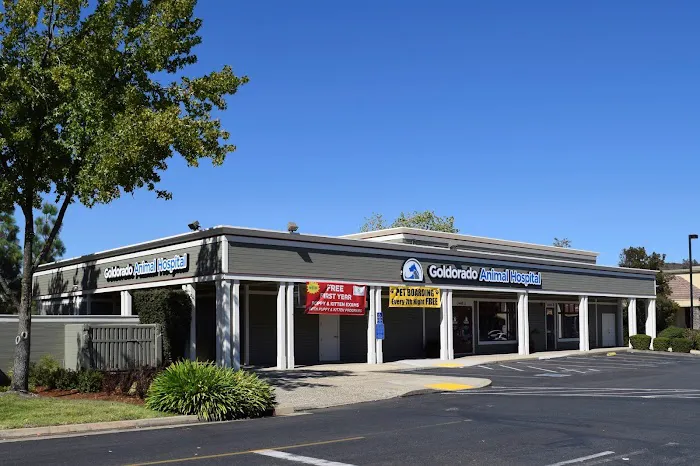 Goldorado Animal Hospital Picture 2