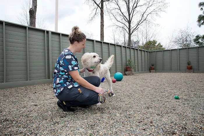 Goldorado Animal Hospital Picture 3