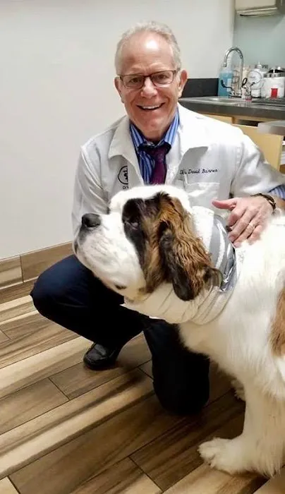 Goldorado Animal Hospital Picture 1