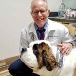 Goldorado Animal Hospital