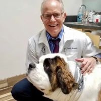 Goldorado Animal Hospital ico