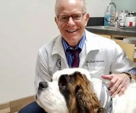 Goldorado Animal Hospital