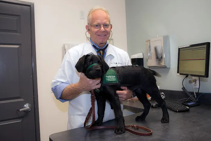 Goldorado Animal Hospital Picture 6