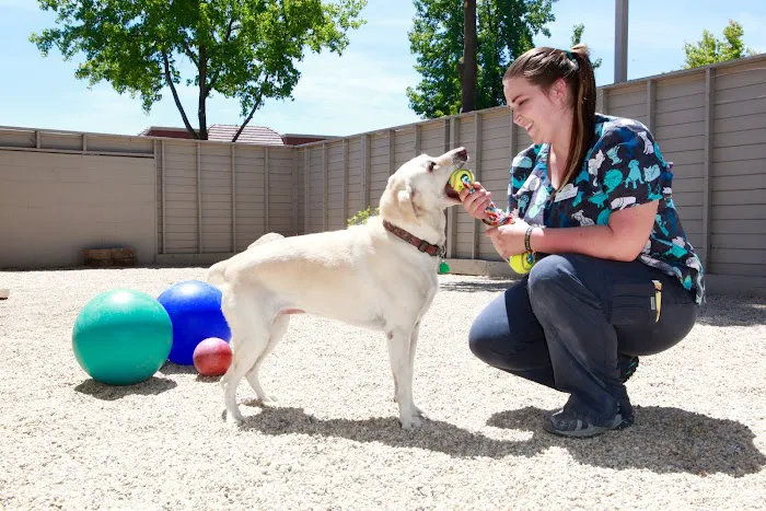 Goldorado Animal Hospital Picture 10