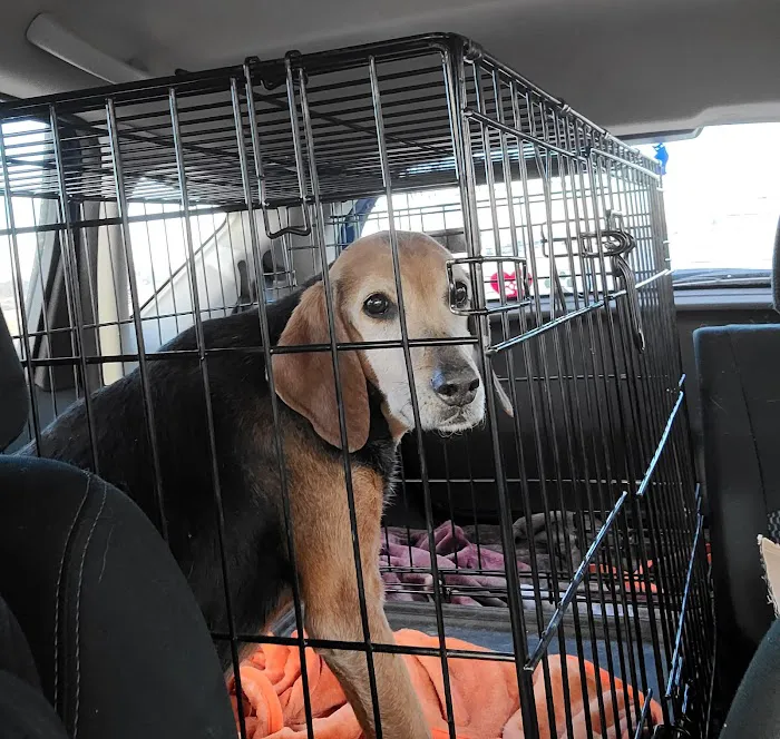 Southampton Veterinary Clinic Picture 3