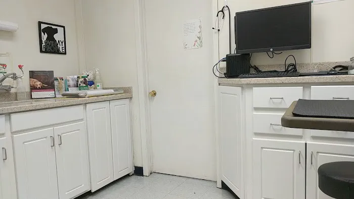 Pet Medical Center- Sunland Picture 3
