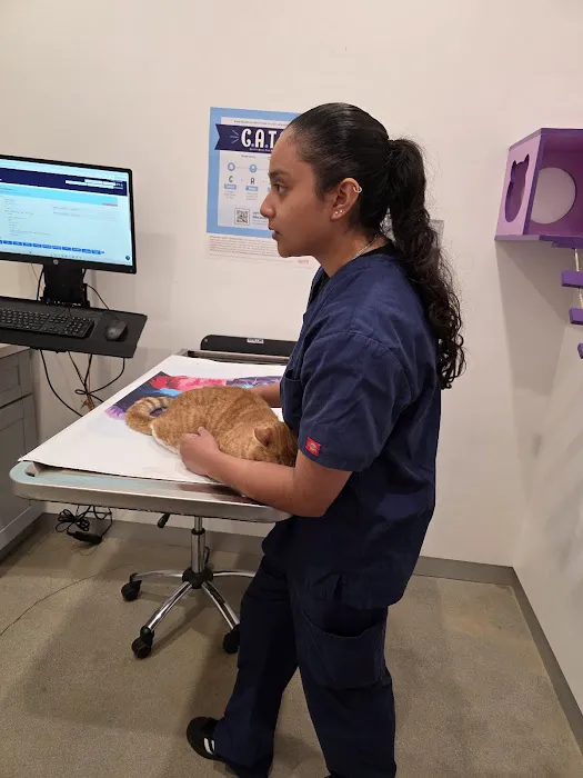 Pet Medical Center- Sunland Picture 4