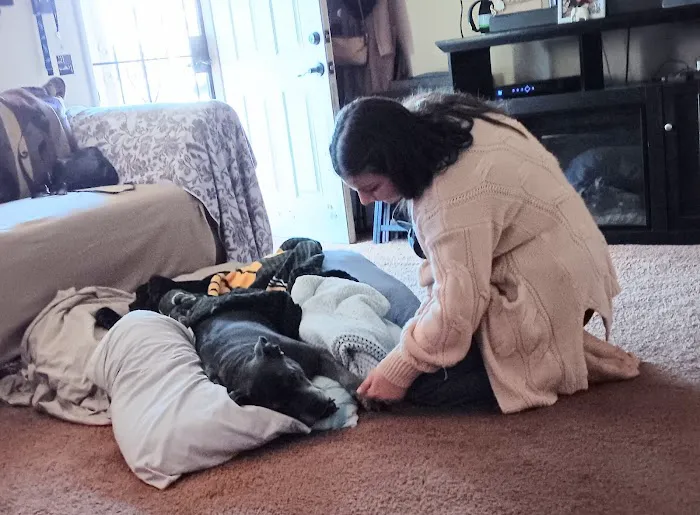 Green Meadows Veterinary Care - In Home Pet Euthanasia Picture 4