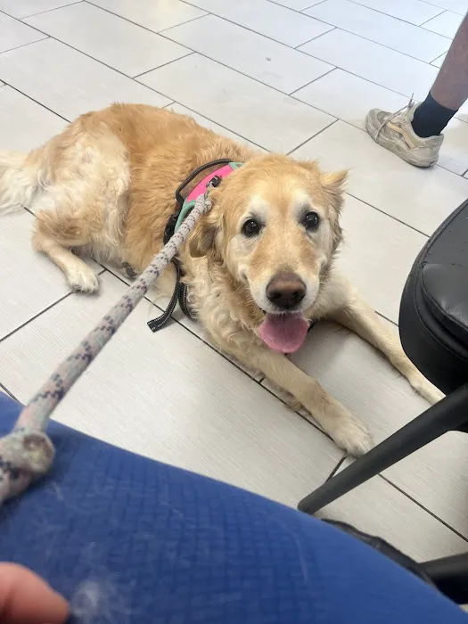 Panorama Pet Hospital Picture 1