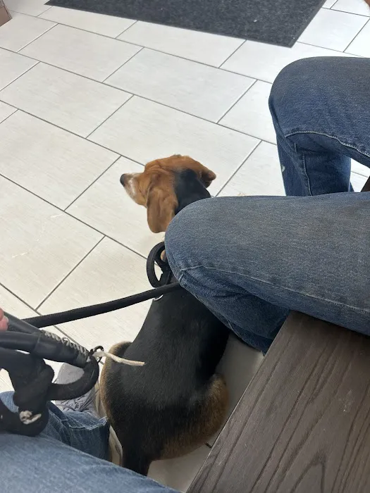 Panorama Pet Hospital Picture 4