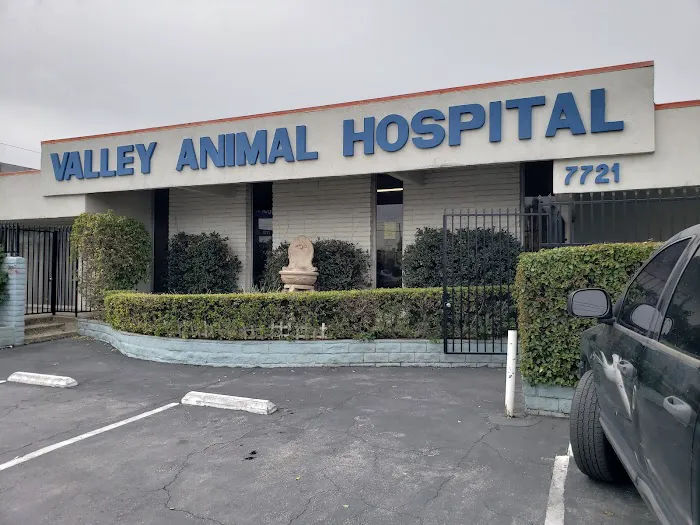 Valley Animal Hospital Picture 10