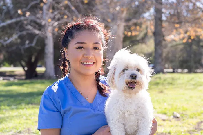 Lake Balboa Veterinary Care Picture 1