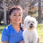 Lake Balboa Veterinary Care