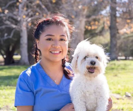 Lake Balboa Veterinary Care