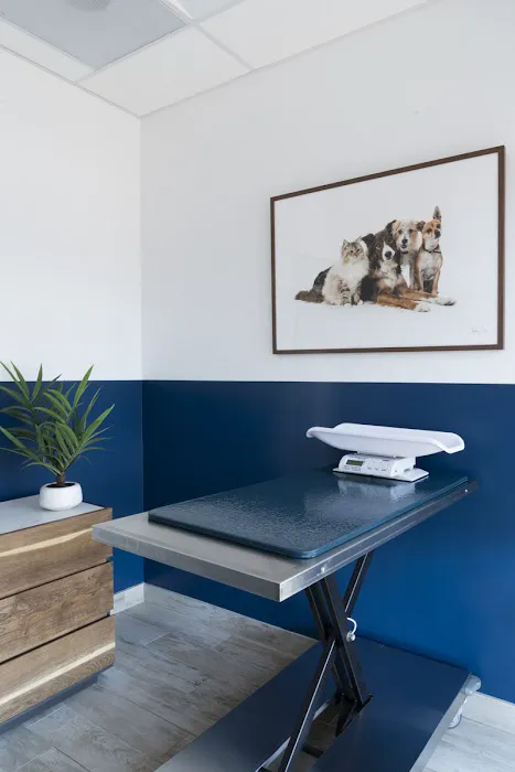 Lake Balboa Veterinary Care Picture 7