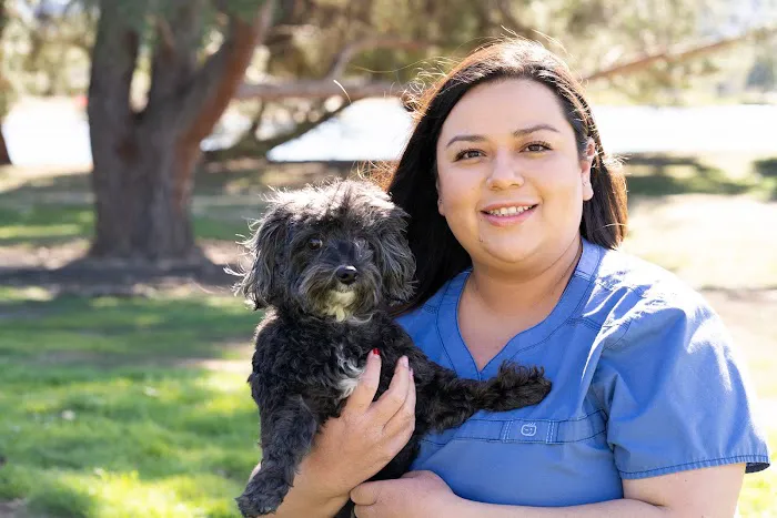 Lake Balboa Veterinary Care Picture 9