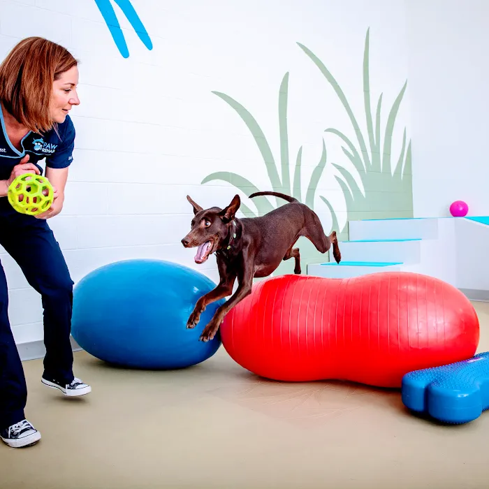 PAW REHAB Pacific Animal Wellness Rehabilitation Center Picture 7