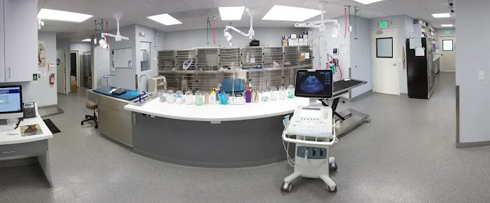 McGrath Veterinary Center Picture 4