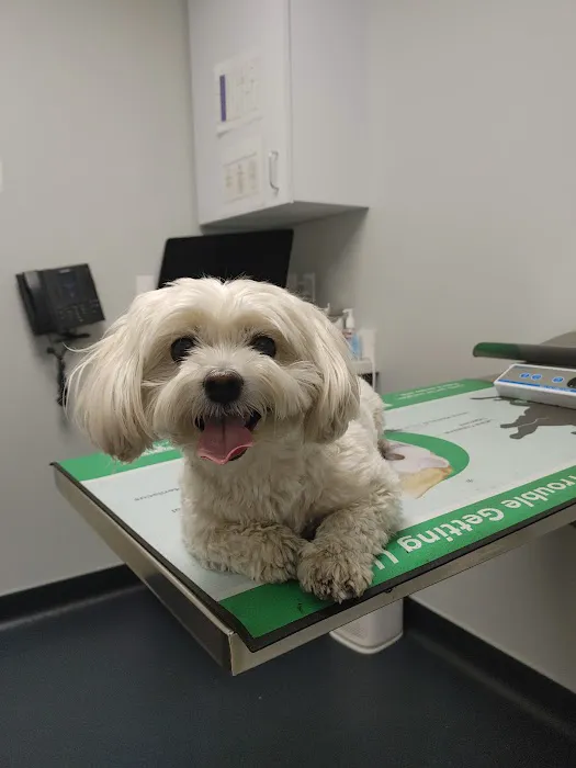 McGrath Veterinary Center Picture 5