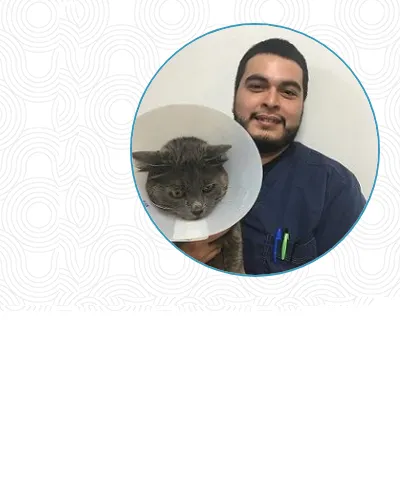 Beverly Oaks Animal Hospital Picture 7