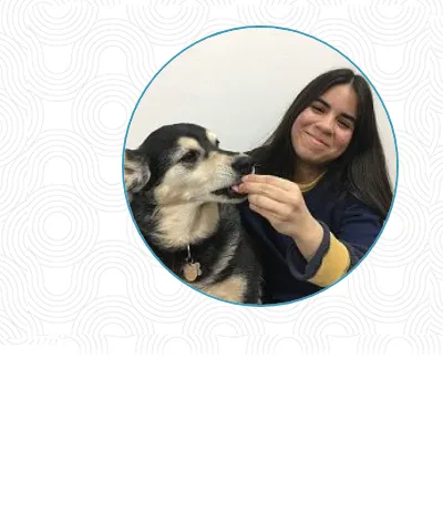 Beverly Oaks Animal Hospital Picture 9